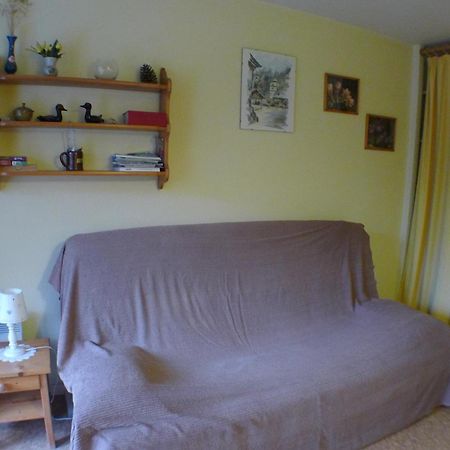 Studio Cosy Au Centre De Samoens Avec Parking Privatif - Fr-1-629-118 Экстерьер фото